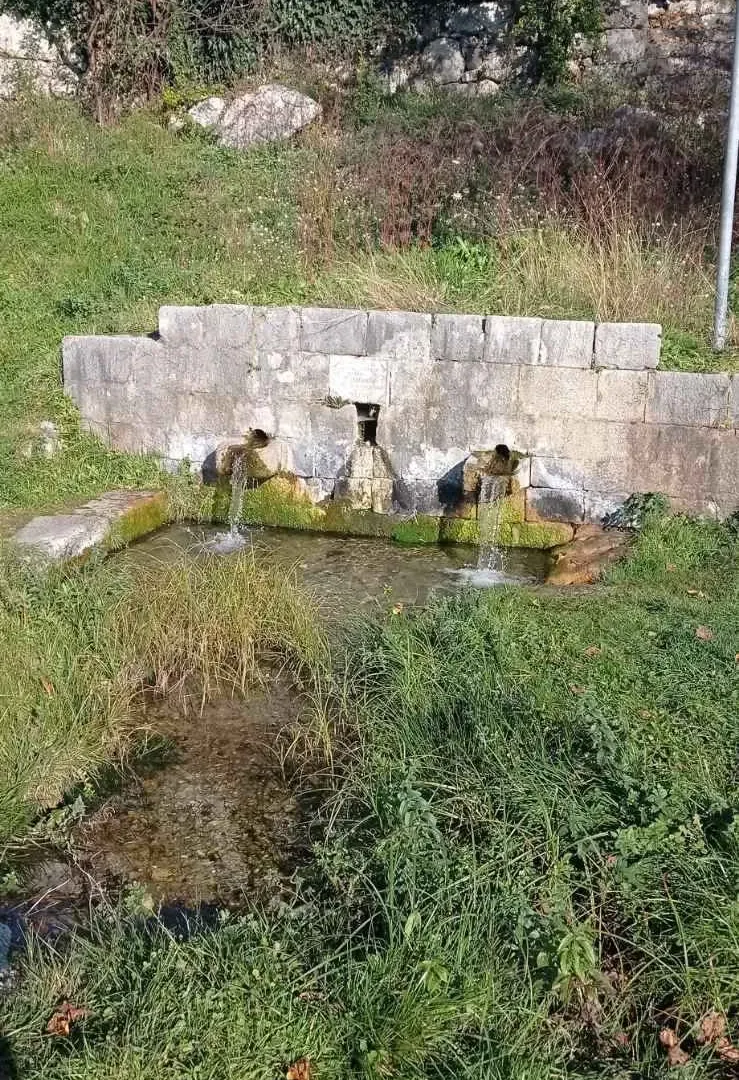 Prodaja, plac, 9142m², Danilovgrad, Crna Gora