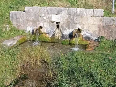 Prodaja, plac, 9142m², Danilovgrad, Crna Gora - image 6