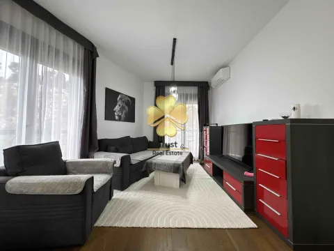 Izdavanje, jednosoban stan, 70m², Podgorica, Crna Gora - image 2