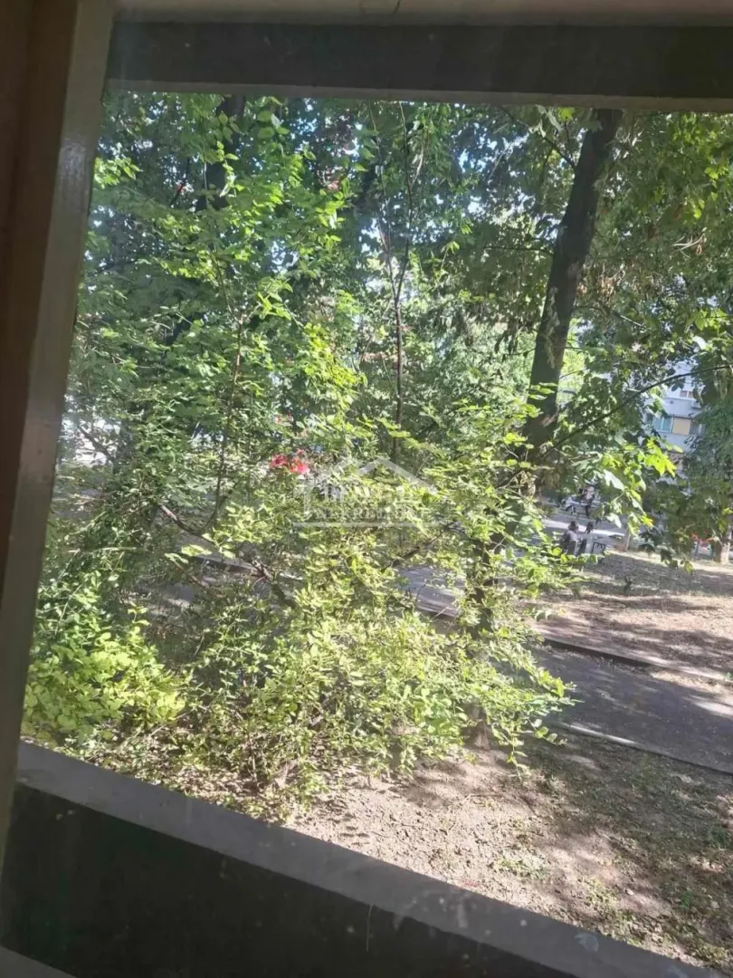Pogled kroz prozor na zeleno drveće i dvorište.