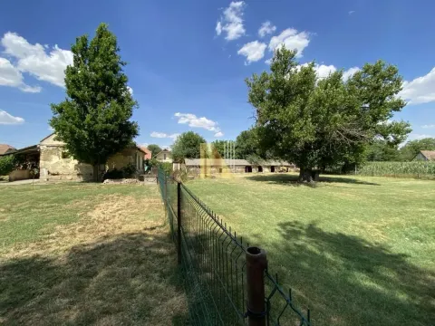 Prodaja, kuća, 301m², Bečej, Novi Sad - image 3