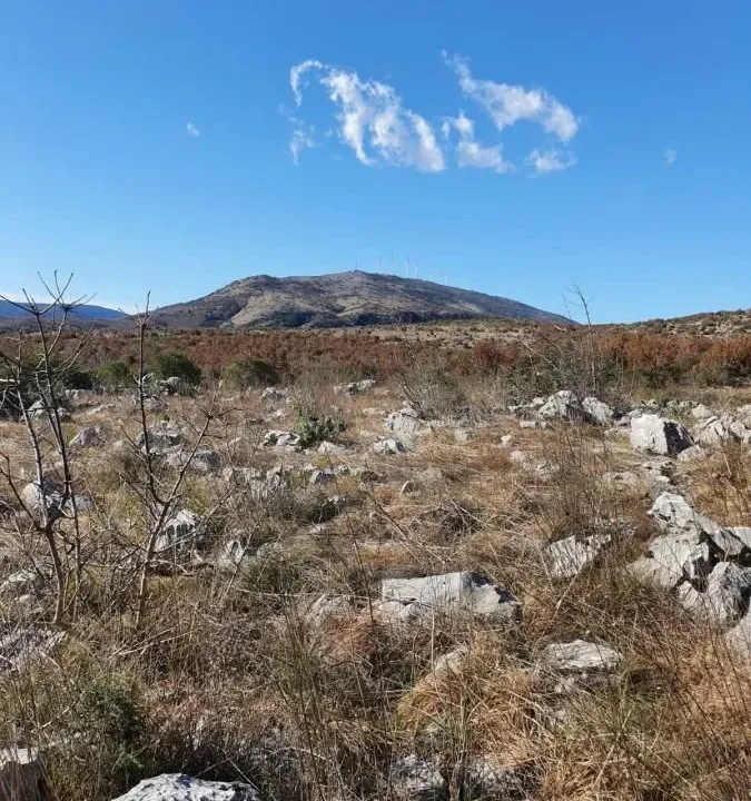 Prodaja, plac, 179m², Zoganje, Ulcinj