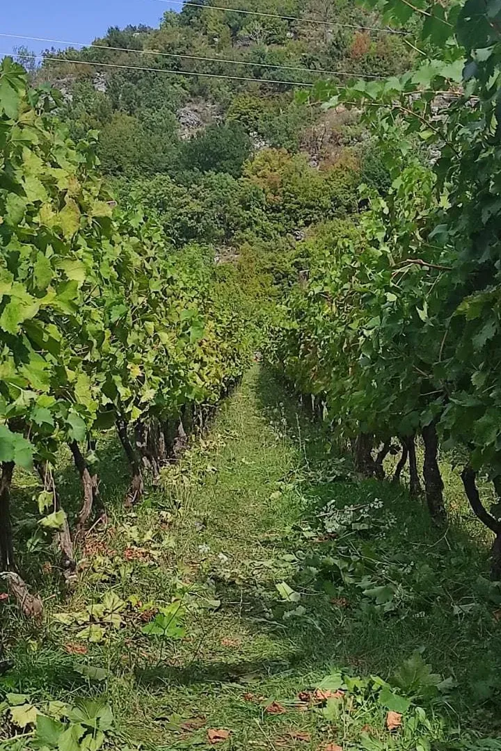 Prodaja, kuća, 170m², Bar, Crna Gora