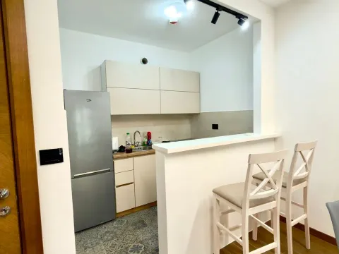 Rent, one bedroom apartment, 48m², Ljubović, Podgorica - image 4