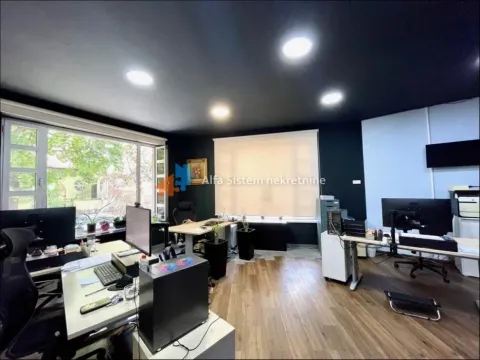 Izdavanje, poslovni prostor, 185m², Neimar, Vračar Sve Podlokacije - image 14