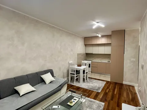 Izdavanje, jednosoban stan, 47m², Zabjelo, Podgorica - image 3