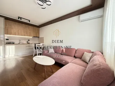 Rent, one bedroom apartment, 45m², Zabjelo, Podgorica - image 6