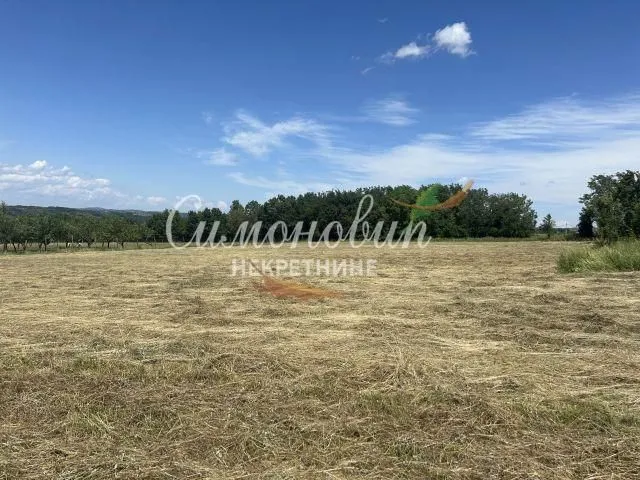 Prodaja, plac, 9000m², Arnajevo, Barajevo