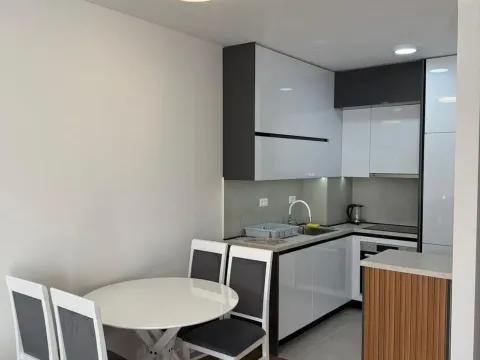 Rent, one bedroom apartment, 47m², Stari Aerodrom, Podgorica - image 3
