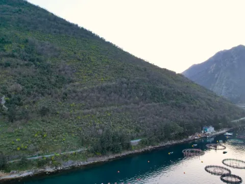 Prodaja, plac, 19000m², Stoliv, Kotor - image 6