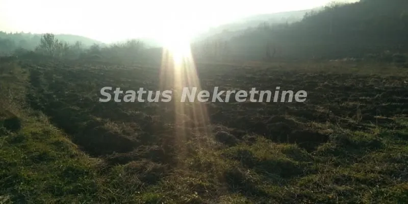Sale, land lot, 4000m², Sremski Karlovci, Novi Sad