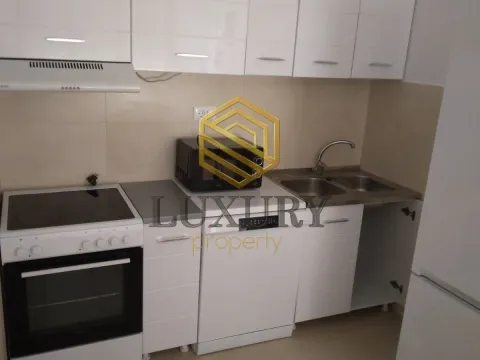 Rent, one bedroom apartment, 46m², Zabjelo, Podgorica - image 10