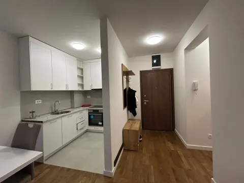 Izdavanje, jednosoban stan, 47m², Stari Aerodrom, Podgorica - image 2