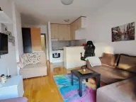 Rent, studio apartment, 30m², Tuški Put, Podgorica - image 4