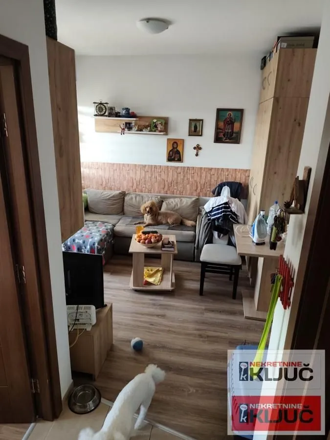 Prodaja, jednosoban stan, 29m², Adice, Novi Sad Sve Podlokacije