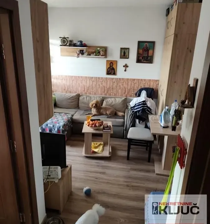 Sale, one bedroom apartment, 29m², Adice, Novi Sad Sve Podlokacije