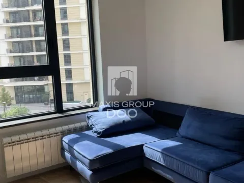 Izdavanje, dvosoban stan, 50m², Savski Venac, Beograd - image 6