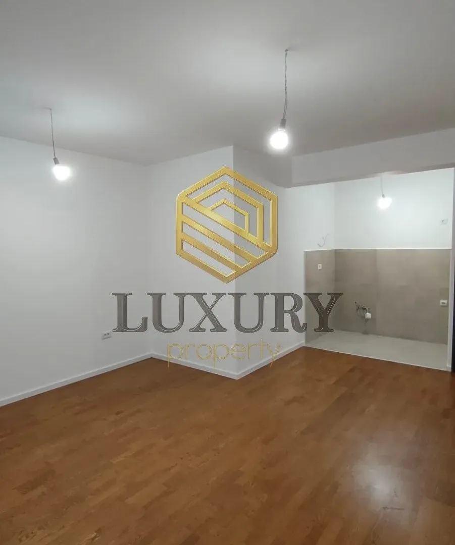 Rent, one bedroom apartment, 45m², Zagorič, Podgorica