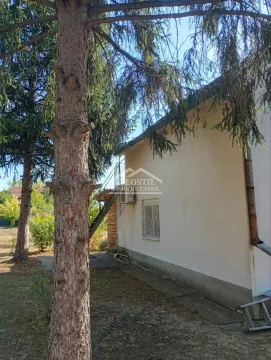 View of the yard and exterior of the house with trees. - image 4