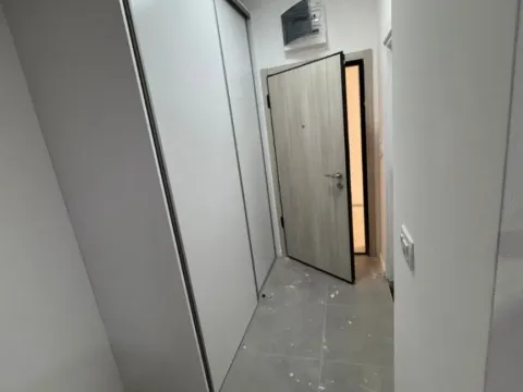 Izdavanje, garsonjera, 30m², Vezirov Most, Podgorica - image 7