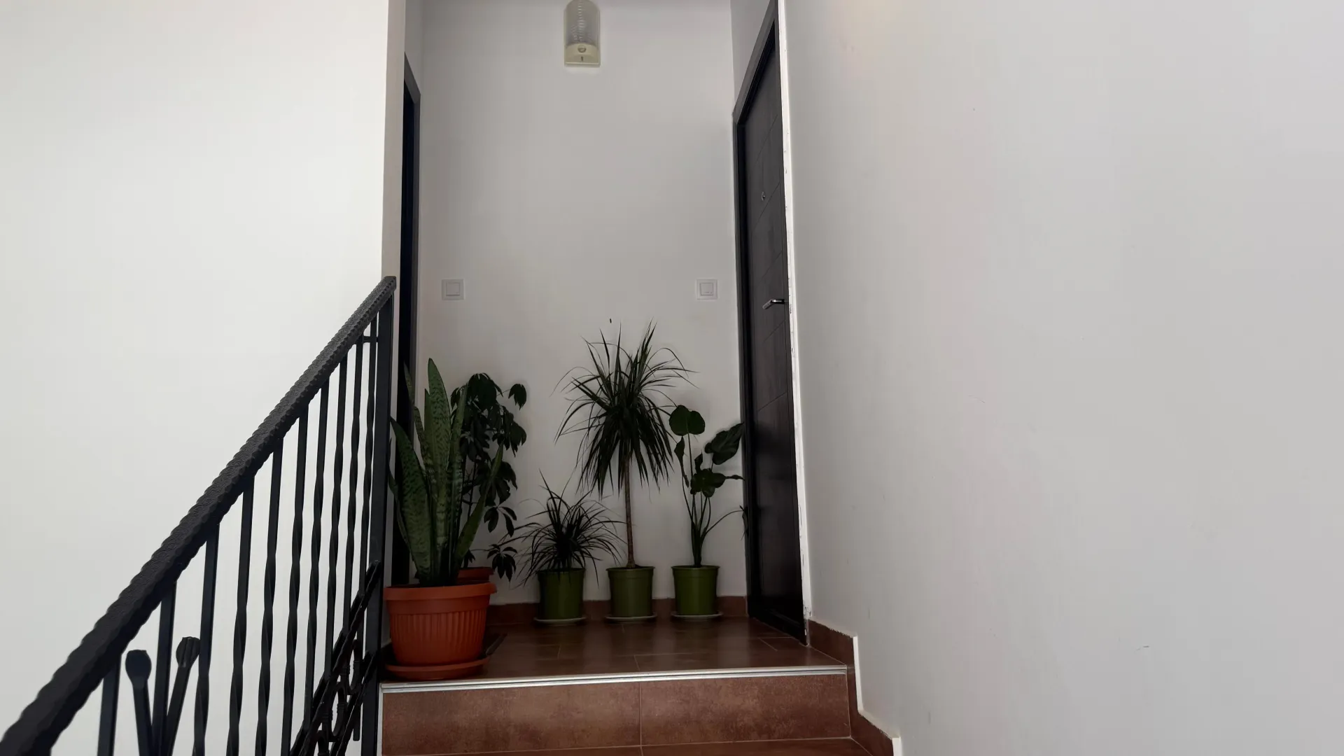 Rent, one bedroom apartment, 66m², Igalo, Herceg Novi
