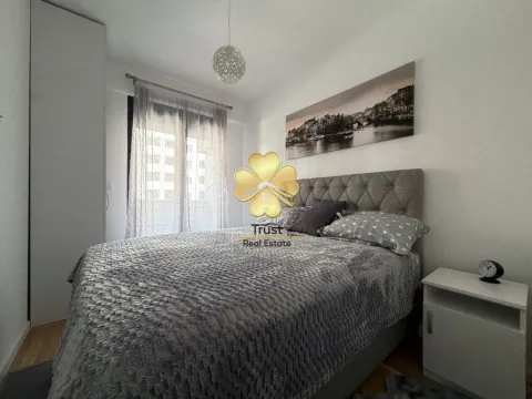 Izdavanje, jednosoban stan, 45m², Stari Aerodrom, Podgorica - image 9