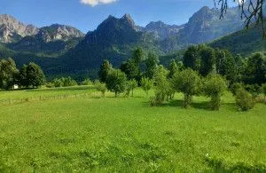 Prodaja, plac, 8124m², Gornje Lipovo, Kolašin