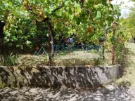 Prodaja, kuća, 46m², Sutomore, Bar - image 2