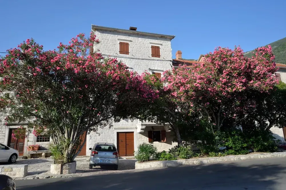 Sale, house, 172m², Kotor, Crna Gora