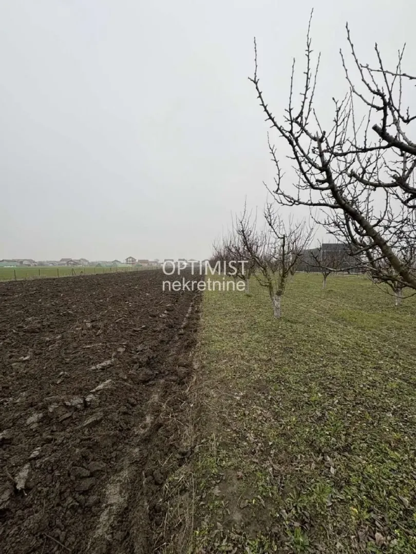 Pogled na prostrano zemljište sa voćnjakom i obradivom površinom.