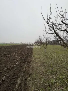 Pogled na prostrano zemljište sa voćnjakom i obradivom površinom. - image 3