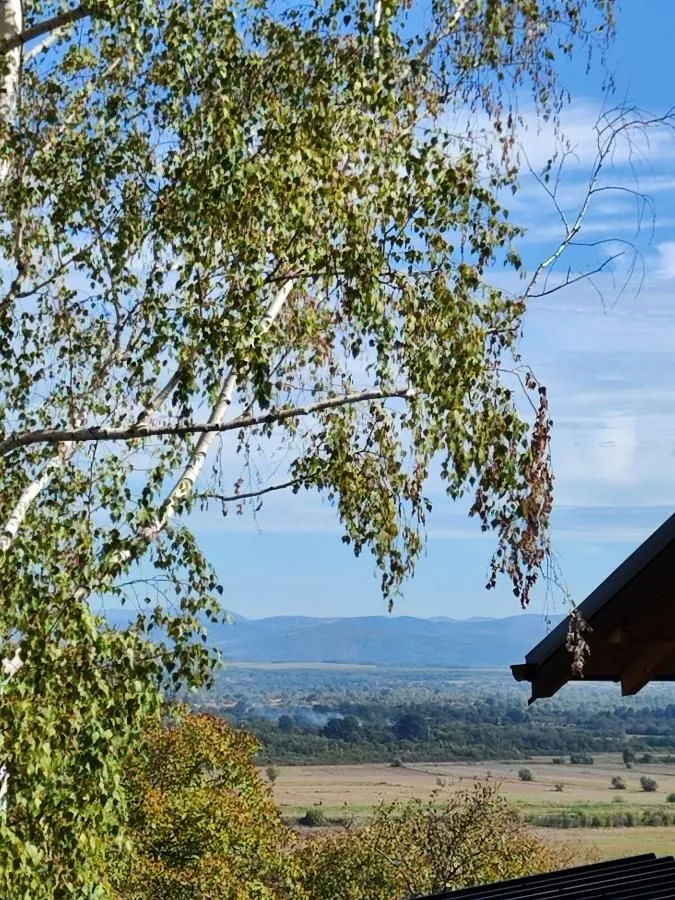 Prodaja, plac, 637m², Đurđevo brdo, Jagodina