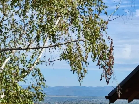 Sale, land lot, 600m², Đurđevo brdo, Jagodina - image 3