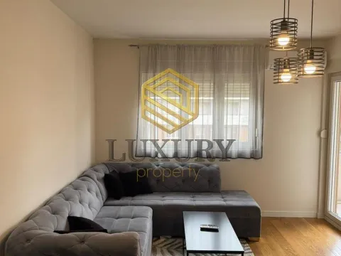 Rent, one bedroom apartment, 50m², Central Point, Podgorica - image 7