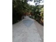 Prodaja, plac, 14000m², Herceg Novi, Crna Gora - image 13