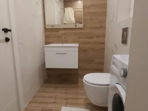 Izdavanje, jednosoban stan, 46m², Vezirov Most, Podgorica - image 9