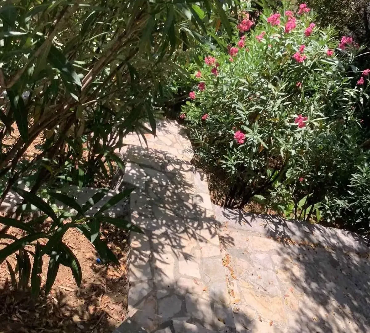 Prodaja, kuća, 208m², Perast, Kotor