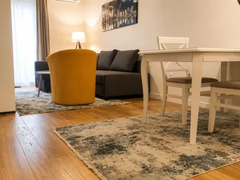 Rent, one bedroom apartment, 47m², Central Point, Podgorica - image 2