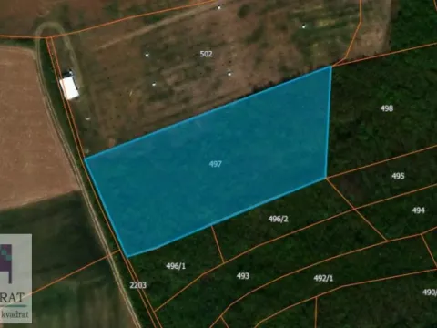 Prodaja, plac, 7000m², Mislodjin, Obrenovac - image 6