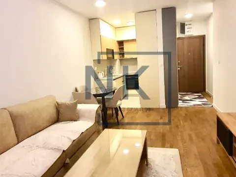 Izdavanje, jednosoban stan, 46m², Stari Aerodrom, Podgorica - image 2