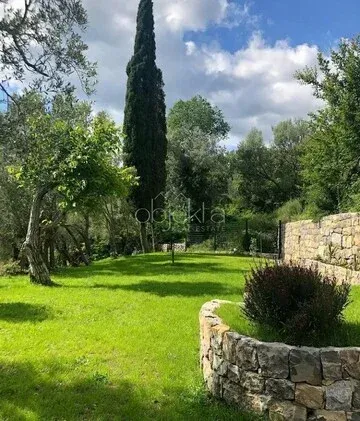 Green yard with lawn, trees and a stone wall.