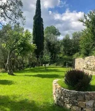 Green yard with lawn, trees and a stone wall. - image 11