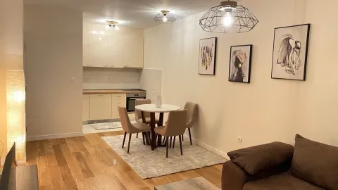 Rent, one bedroom apartment, 49m², Central Point, Podgorica - image 3