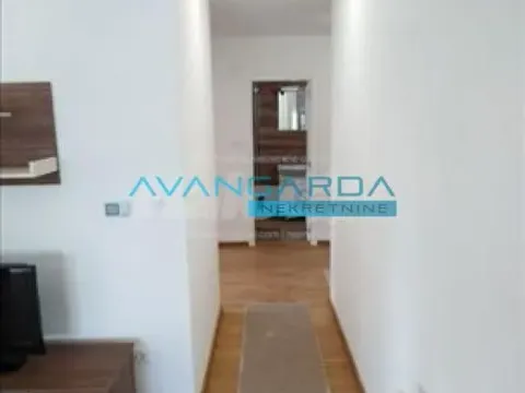 Izdavanje, stan, 63m², Zemun Bačka, Zemun Sve Podlokacije - image 7