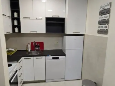 Izdavanje, jednosoban stan, 45m², City Kej, Podgorica - image 2