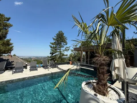 Prodaja, kuća, 318m², Petrovaradin, Novi Sad - image 29