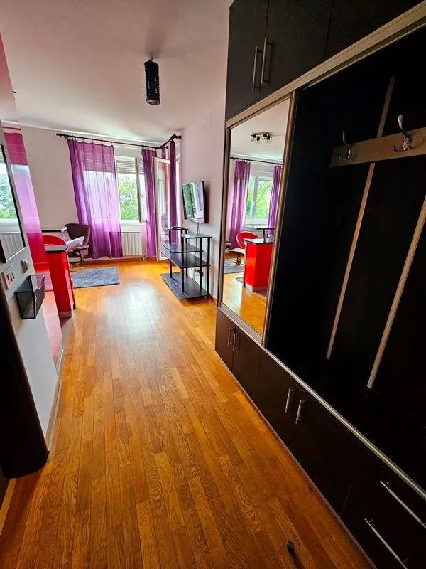 Izdavanje, jednosoban stan, 42m², Banovo Brdo, Beograd