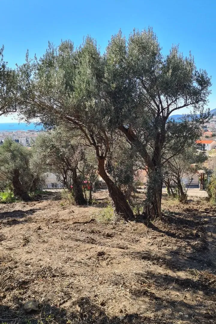 Prodaja, plac, 620m², Bar, Crna Gora
