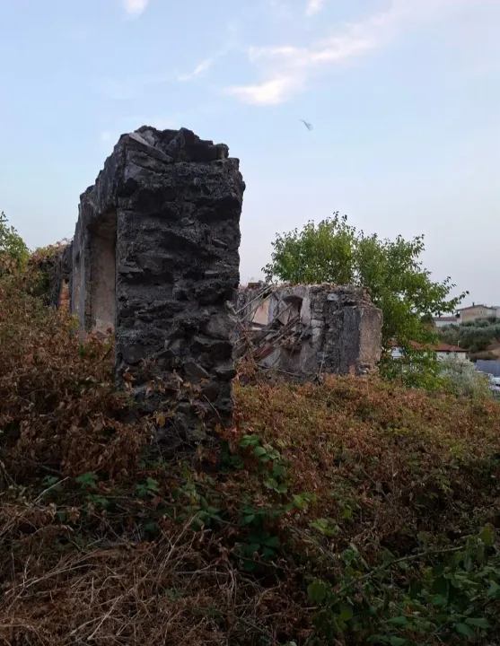 Prodaja, plac, 1550m², Stari Bar, Bar