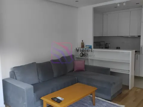 Rent, one bedroom apartment, 42m², Gorica C, Podgorica - image 10